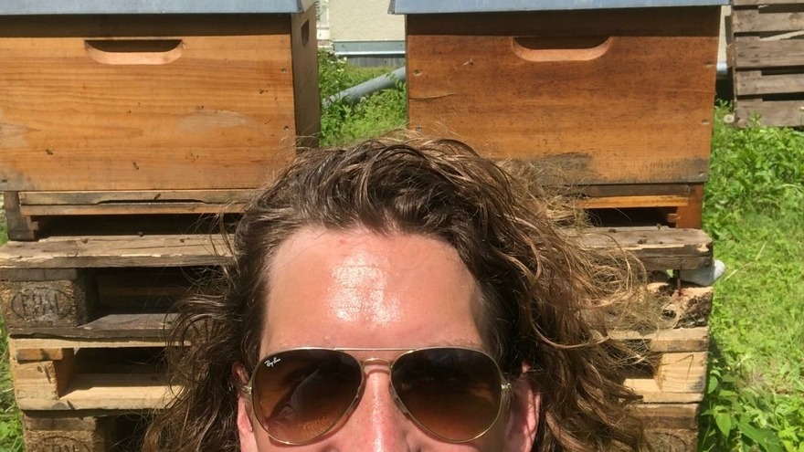 Bienenpatenschaft - Nathan Gardner präsentiert seine beiden Bienenvölker auf unserem Küchendach Bienenpatenschaft - Nathan Gardner präsentiert seine beiden Bienenvölker auf unserem Küchendach